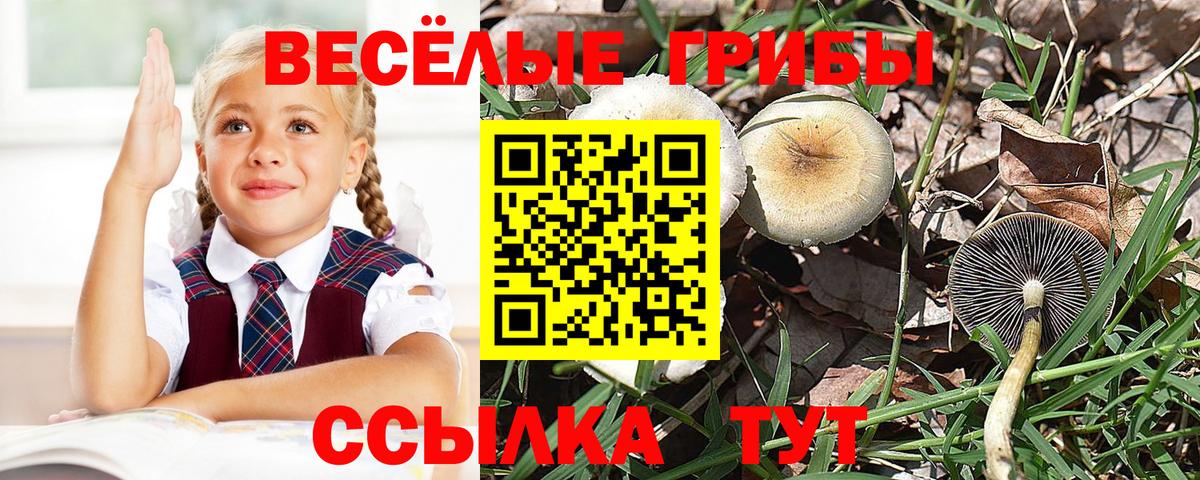 Великий Устюг  Галлюциногенные грибы Magic Shrooms  Вход с VPN 
